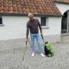 Pulvérisateur 16 L sur batterie