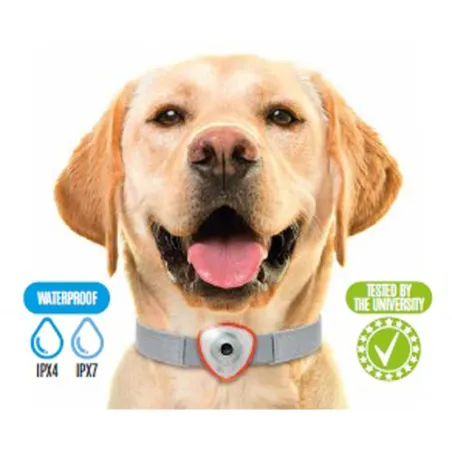 Répulsif électronique anti tiques et puces pour chien et chats