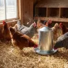 Abreuvoir poules GAUN 4 L – Double paroi galvanisée
