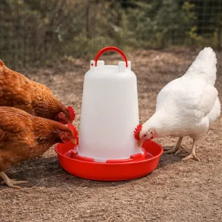 Abreuvoir plastique poule 1,5 L premium robuste avec poignée