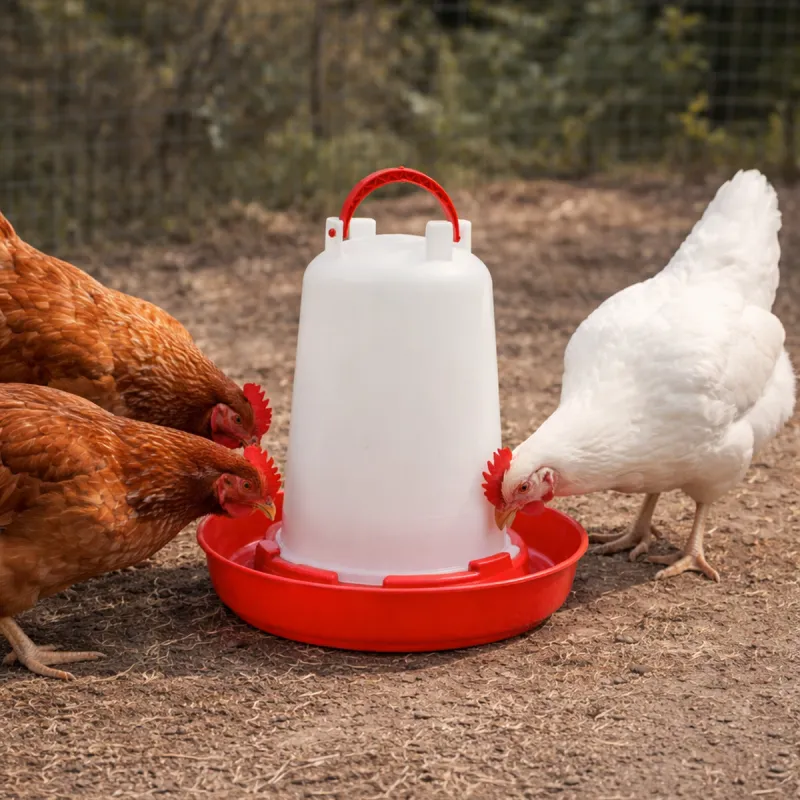 Abreuvoir plastique poule 1,5 L premium robuste avec poignée