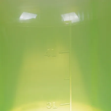 Abreuvoir gradué sur pied avec poignée vert 10L