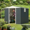 Abri de jardin en acier Argence avec carport - 2 portes coulissantes - Hauteur 160 cm