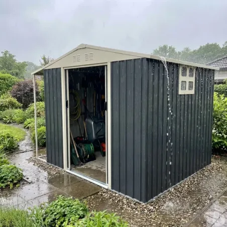 Abri de jardin en acier Argence avec carport - 2 portes coulissantes - Hauteur 160 cm