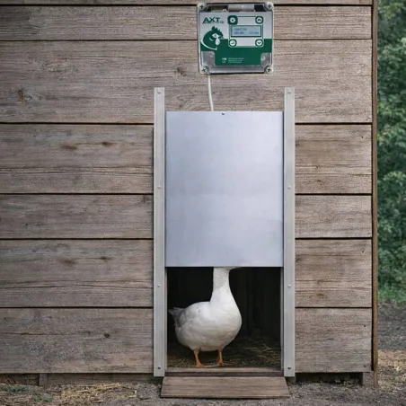 Portier à horloge + trappe oie 33x50cm