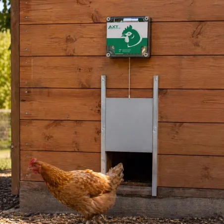 Portier à capteur de lumière + trappe standard 22x33cm