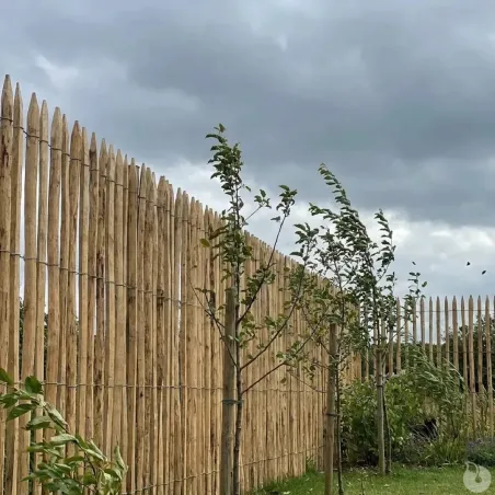 Ganivelle en Châtaignier - Longueur 5m x Hauteur 1,5m - Espacement 6-7 cm