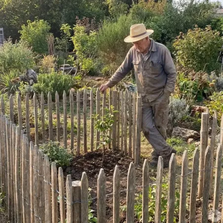 Cloture anivelle Châtaignier L10 m L1 x H1m - Espacement 6-7 cm