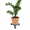 Support de plantes à 3 roulettes 22,5 à 30 cm 