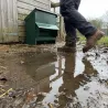 Mangeoire galvanisée verte anti gaspillage 20 kg