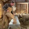 Mangeoire linéaire galvanisée moutons brebis chèvres