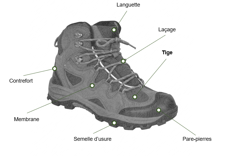 tige chaussure randonnée