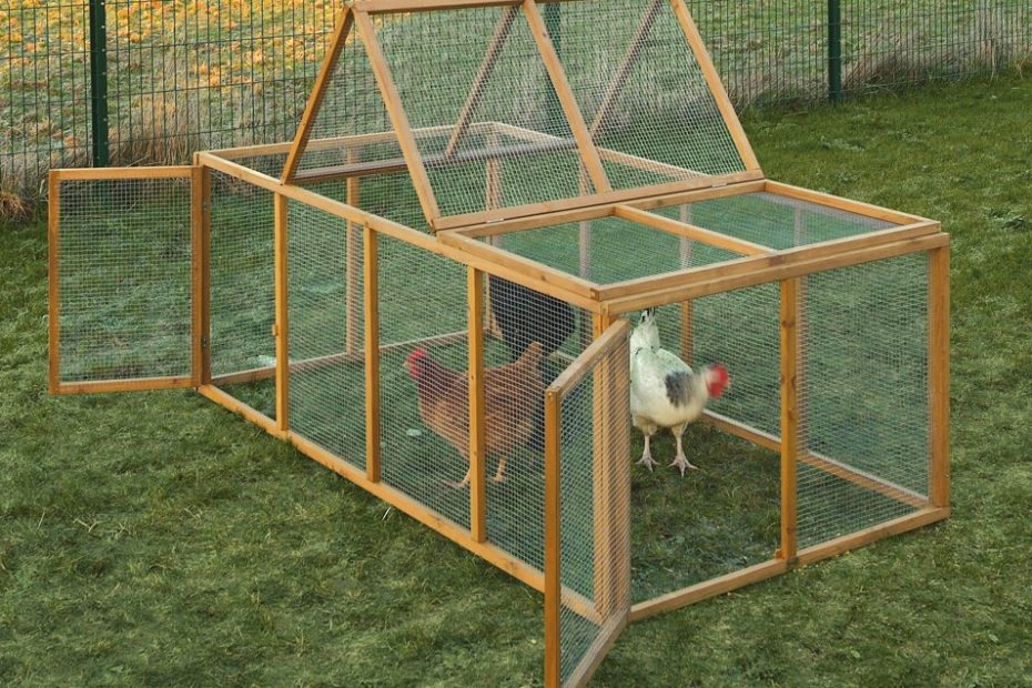 Comment faire un enclos pour poules ?