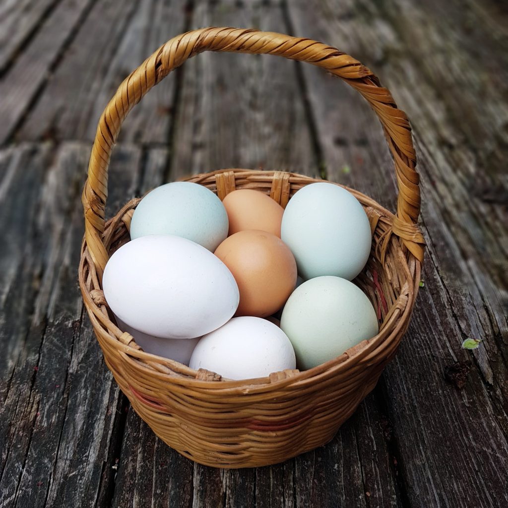 oeufs