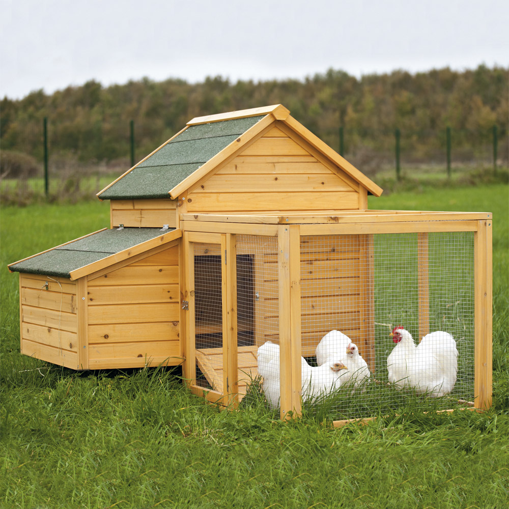 poulailler en bois