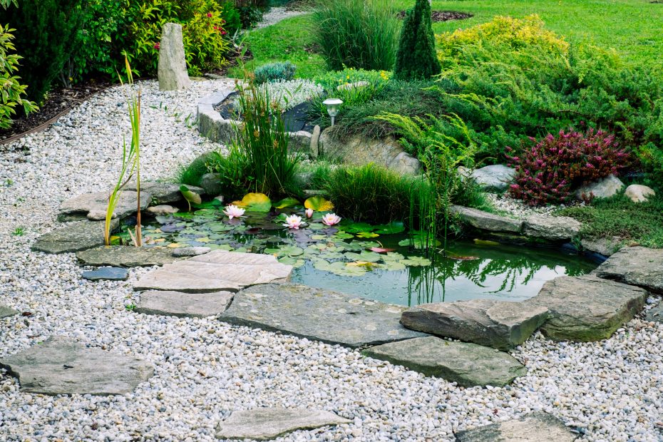 jardin aquatique