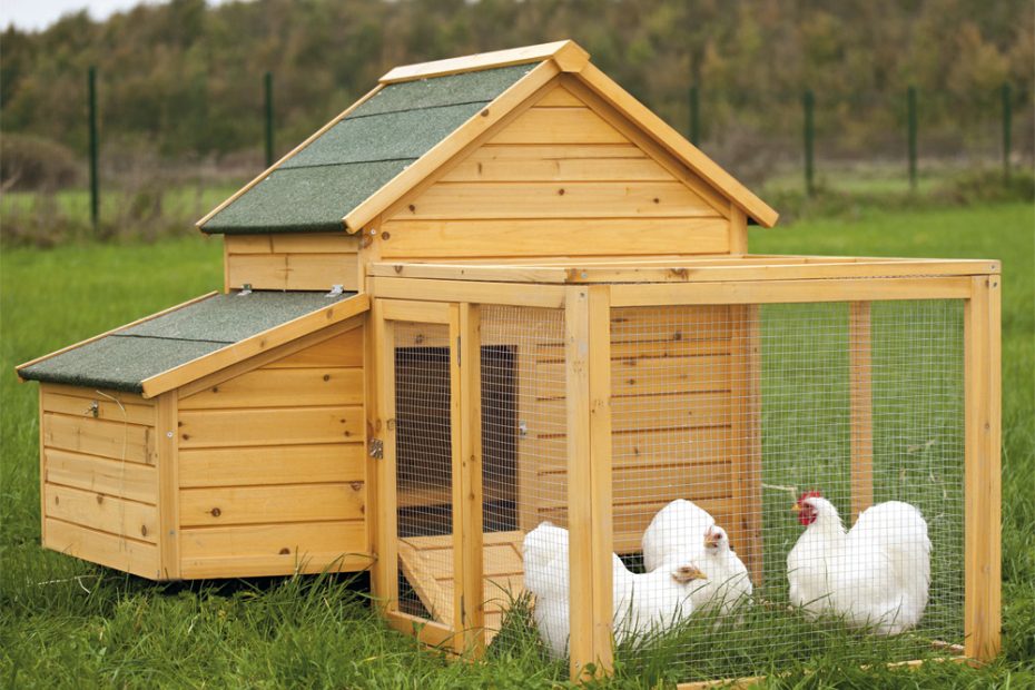 Comment construire un enclos pour lapin ?