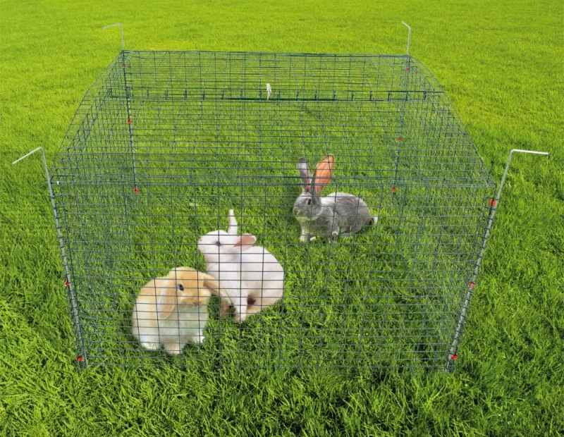 Comment faire un enclos extérieur pour lapin ?