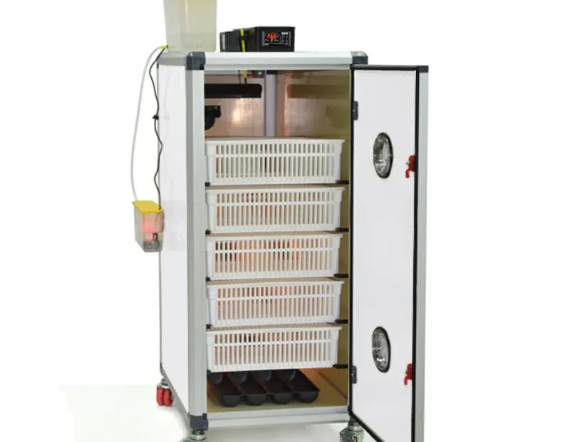 Incubateur ou couveuse pour volaille ? Que choisir ?