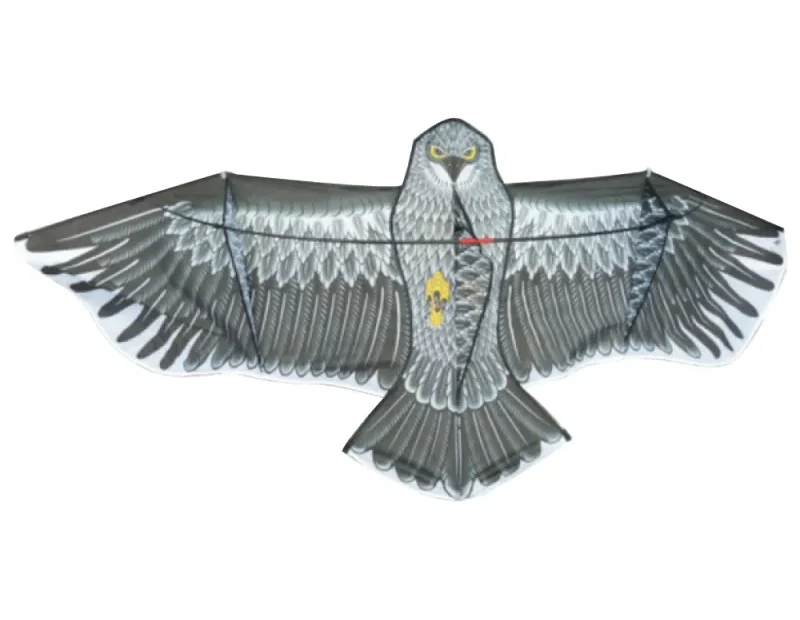 Comment éloigner les étourneaux des mangeoires