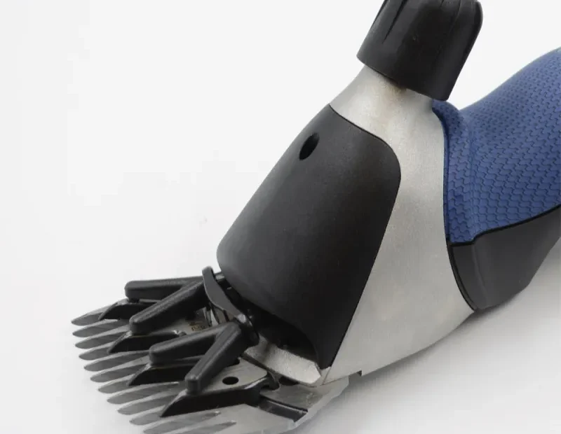 Quelle tondeuse pour mouton choisir ?