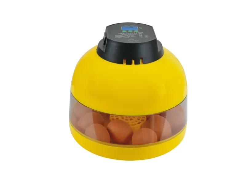 Combien de temps laisser les poussins dans la couveuse ?