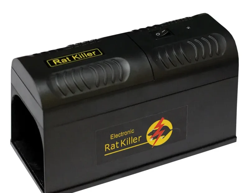 Comment attirer un rat dans un piège ?