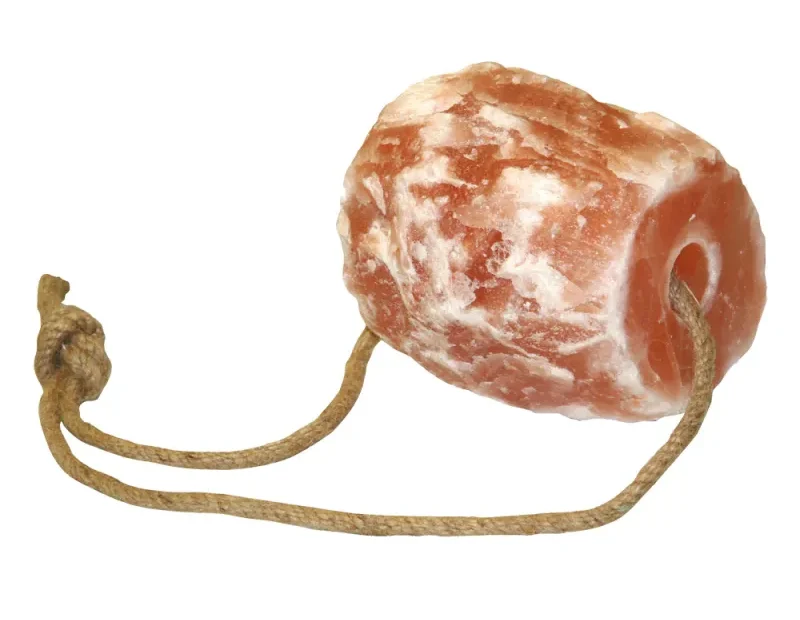 Quelle alimentation pour les chevaux ?