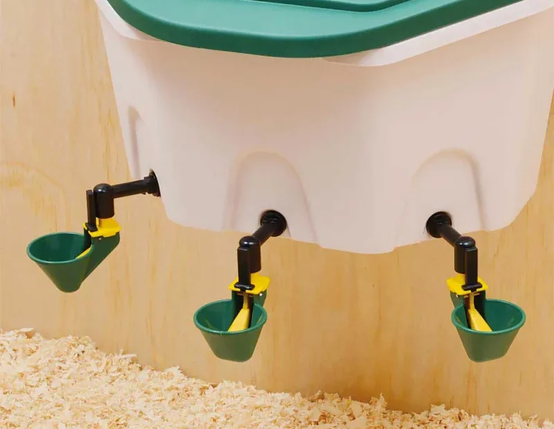 Abreuvoir poule : comment choisir ?