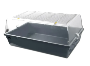 Où acheter des poussins ?