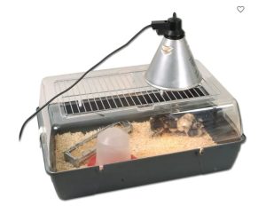 Comment s'appelle un élevage de poussins ?