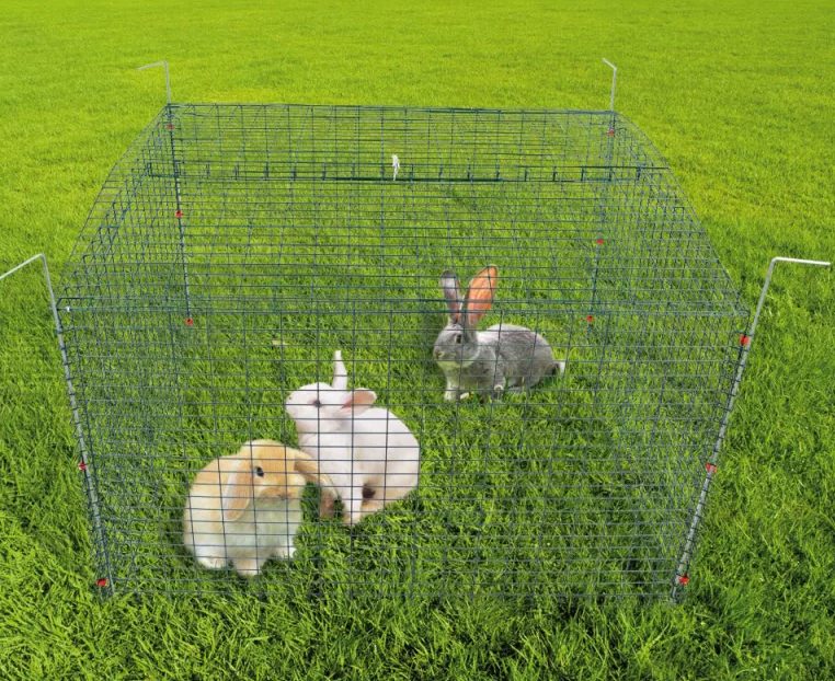 Cage ou Clapier pour Lapin ?