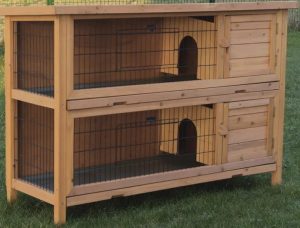 Clapier en bois ou en béton ? Comment bien choisir