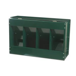 Comment débuter et faire un élevage de pigeons