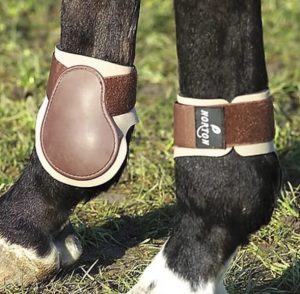 Comment s'appelle un élevage de chevaux ?