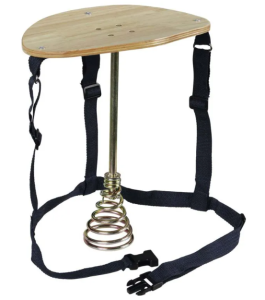 Comment débuter et faire un élevage de vaches, veaux et boeufs