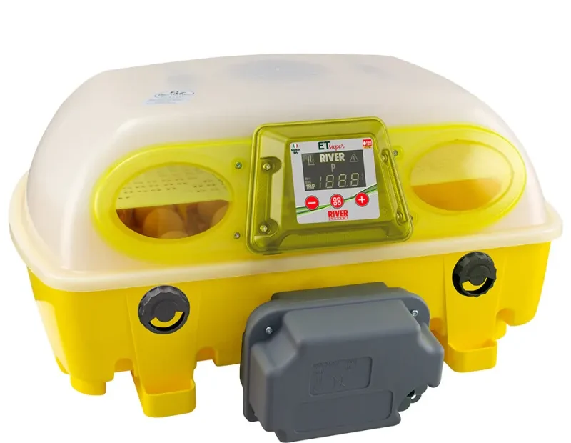 Combien de temps pour mettre des oeufs en couveuse ?