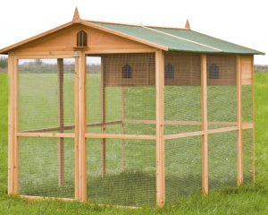 Combien d'oiseaux dans une volière ?