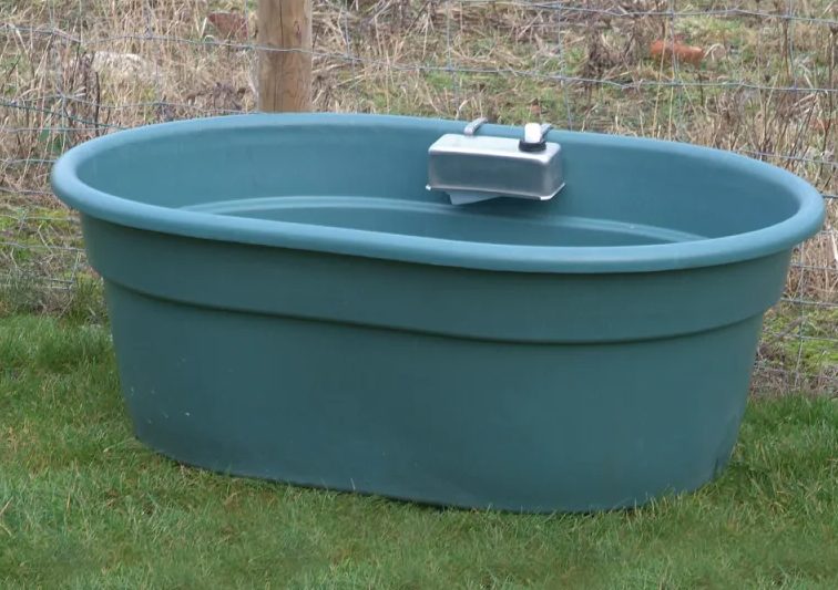 Abreuvoir pour Chevaux automatique en prairie & extérieur
