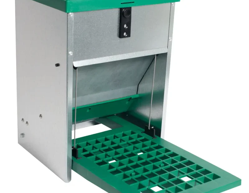 Quel mangeoire pour 3 ou 2 poules ?