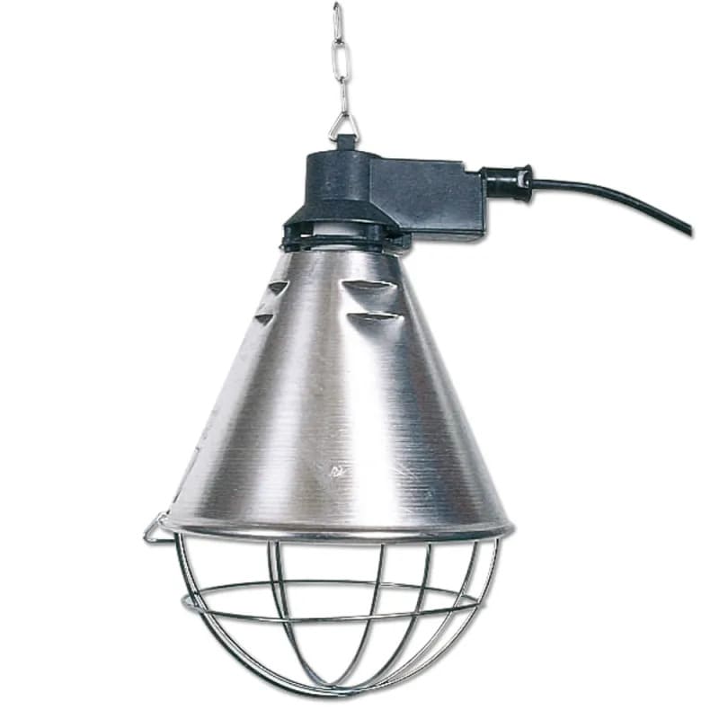 lampe chauffante pour les pigeonneaux