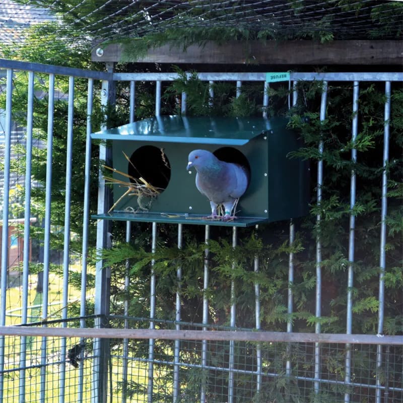 pigeonnier 2 places pour aménager un pigeonnier