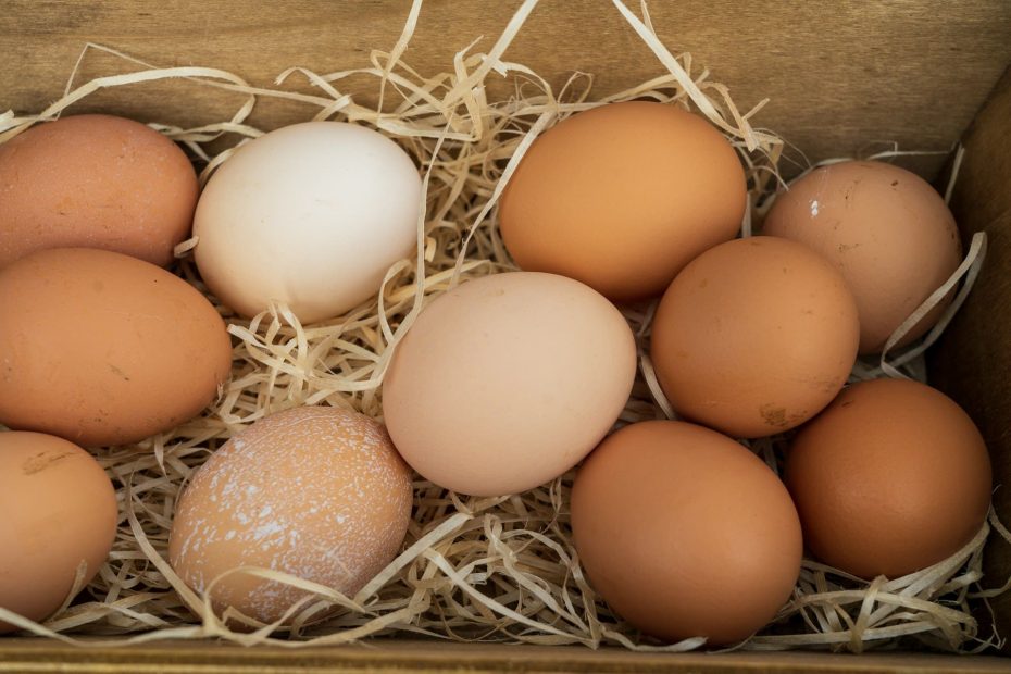 de nombreux oeufs de poule