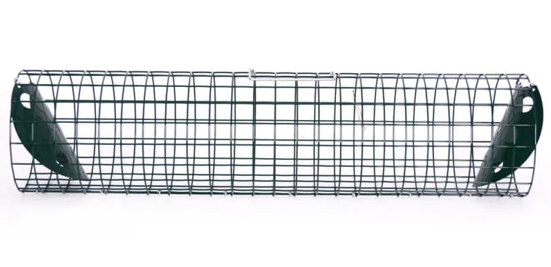 piège à lapin