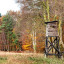 Vidéos chasse