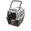 Transport chien