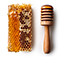 Apiculture