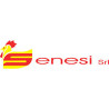 Senesi