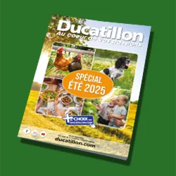 Nouveau catalogue spécial été 2025 