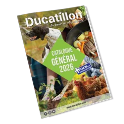 Consultez nos catalogues en ligne
